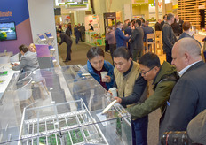 Henk van Tuyl with KUBO shows the companies greenhouse model to international guests.