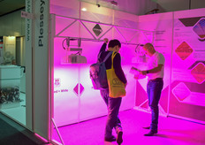 Plessey launched its new Hyperion Inter Light: https://www.hortidaily.com/article/9069610/providing-intra-canopy-light-with-new-inter-light-system/ 