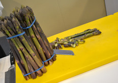 Purple asparagus? That must be...