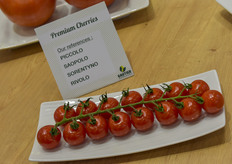 The Saopolo is new in the premium cherry segment and is of interest to growers in North West Europe. With the Piccolo, the Rivolo and the Yellow Leaf resistant Sorentyno the company offers a complete range in this segment, varying in sweetness and cultivation specifications.