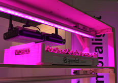 Ambralight has various LED solutions.