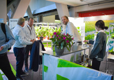 The WIVID LED solutions were presented on GreenTech as well.