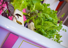 The TAPKIT solution was presented on the show