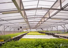 The first greenhouse where loads of herbs are cultivated