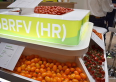 Many breeders focused on ToBRFV