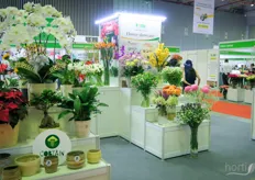 There were different flower varieties on display at the Flower Showcase, part of the show.