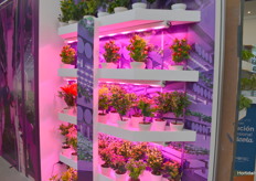 Vertical farming? 