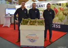 Erik Dekker, Anton Koops, and Arnold Kortekaas from FlexoPlant presented, among other things, the new remontant variety Florice, which will bear its first market-relevant yields from 2025.
