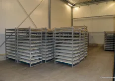 Next is germination in a temperature which is a 'company secret'. The racks are temporary, it will all be containers which make the proces even more automated.