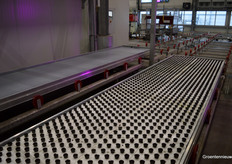 The containers just before they go into the vertical propagation chamber.