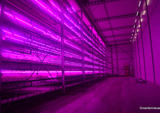 Propagation in ten layers.