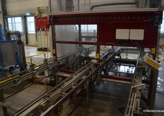 After propagation the youngplants are being planted from 200 per square meter to 20 per square meter.