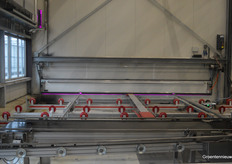 Purple glow peeking through.