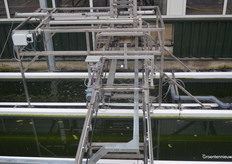 The floaters being placed in the water automatically...