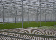 Several varieties, various growth speeds, but everything is traceable and will be put in place at the right time on the right place.