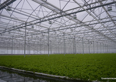 LED providing light when sunlight isn't enough, and a thermal screen and a blackout screen to provide the right growing climate.