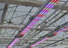 LED lights are increasingly widespread