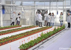 Activities are cut to the bone, during this season