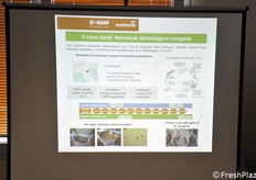 Another slide explaining the carried out activity