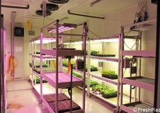 Studies on the incidence of injected diseases are conducted within these rooms