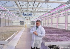 Claudio Castellari, manager with Basf Vegetable Seeds Italy