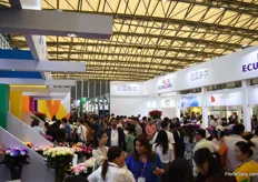 Very busy at the Asocolflores pavilion (Colombian growers) and Expoflores pavilion (Ecuadorian growers).