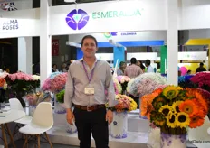 Eduardo Chirboga of Esmeralda Farms presenting a large variety of flowers. They export to China for about 9 years now. The rainbow stem is one of the flowers that is doing very well in China.  "We were the ones who started to tint the gypsophilas and it turned out to be a success." On top of that, they also preserve several flowers, other than roses and they are the only producer in Latin America of the rice flower.