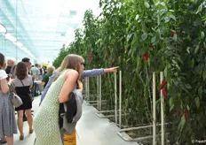Every year 10.000 visitors visit the company for tours in the greenhouses