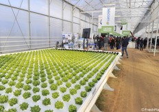 The floating system by Idromeccanica Lucchini