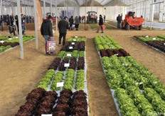 The seed companies also had space