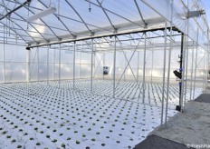 Visitors can take a closer look at different horticultural technologies