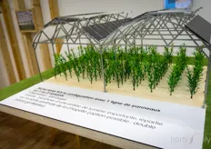 For the French market, Richel launched their photovoltaic solution for plastic greenhouses