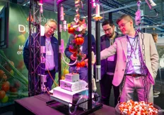 The Aranet installation attracts attention. By measuring stem thickness, growers gain insight into plant performance.