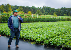 David Klyn-Hesselink, told us about their propagation