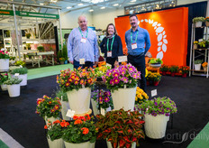 Rick Rabb, Diane Surette and Samurl Cournoyer, with the spotlight on the Dummen bicolor dahlias Summer Bees