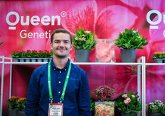 Mads Juul Hansen, Queen Genetics