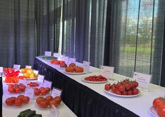 Looking nice ! The New Varieties. Like the Romboni RZ pepper  or the Gariossa RZ tomato