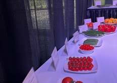 BASF Nunhems New varieties. At the front, WinVIne