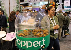 Mayra Garcia, Koppert Mexico