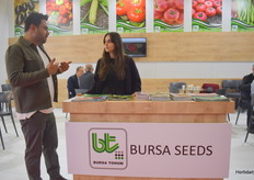 Explaining about the varieties from Bursa Seeds.