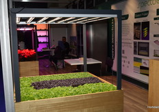 The growlight solution of Spectbee