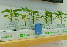 The Grosens Sensor at Grodan Booth.
