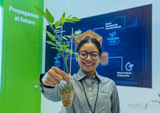 Vanessa Palmas showing the new peat foam for the Mexican market, Peat Foam.
