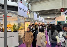 Peaking into the German pavilion