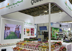 Queen® Genetics, Dà Lạt Hasfarm, and Hasfarm China team at IPM Beijing 2026.