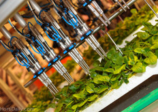 High tech horticulture by Visser