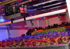 Certhon's climate chamber: www.certhon.com