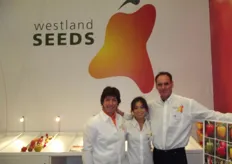 Astrid Bloemen, Faye Wang and Tom van der Heiden of Westland Seeds