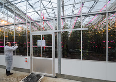 Recent Philips trial with both LED and top and interlighting modules. The first result will be presented later this year, but according to researcher, so far the crop has kept with the other trials that have involved the use of techniques such as of diffuse glass, LED inter lighting and SON-t toplighting. However, still too early to draw conclusions.