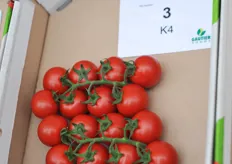 Cocktail tomato K4 is named Bykyni. It is well received amongst many Dutch growers of Prominent and all other visitors from different countries. The cocktail tomato has got a strong green calix.